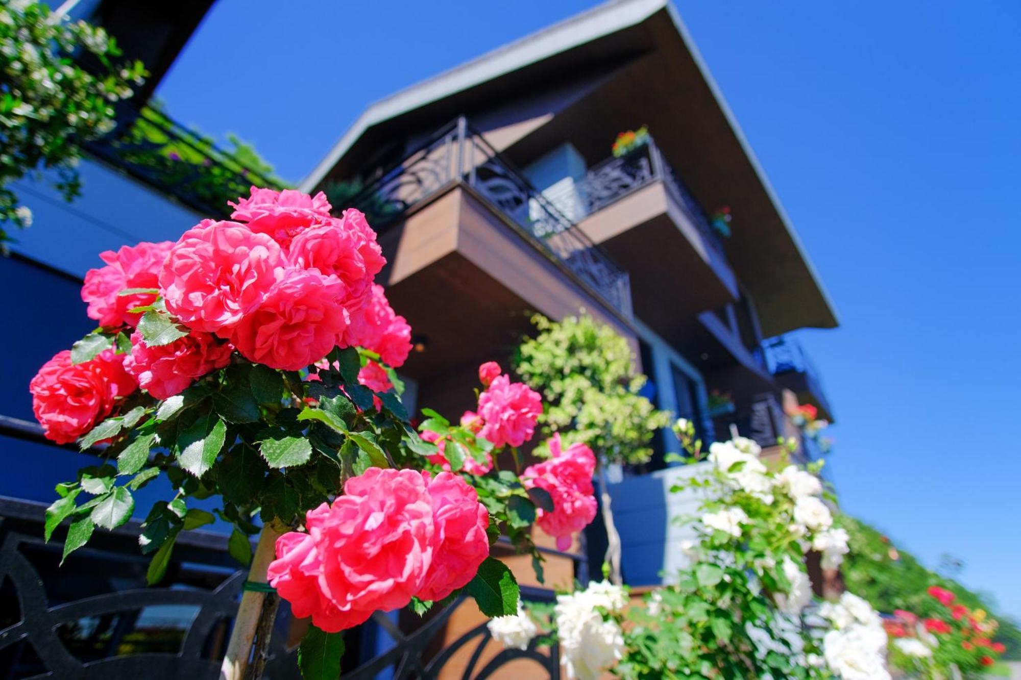 Peerless Villas Hotel Trabzon Exteriér fotografie
